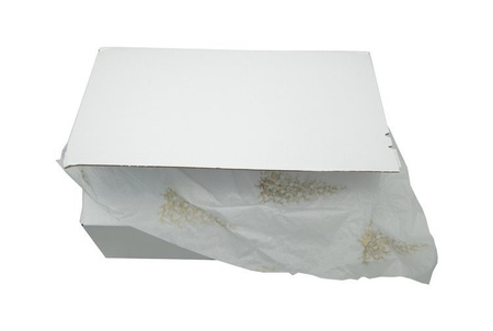 Zestaw do makramy compact ivory